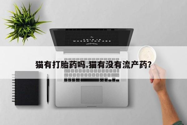 米非米索微信猫有打胎药吗.猫有没有流产药？