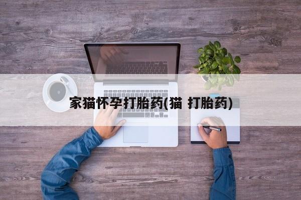 米非米索微信家猫怀孕打胎药(猫 打胎药)