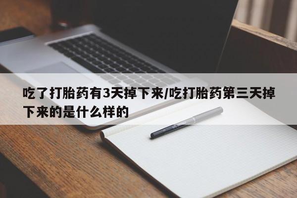 米非米索微信吃了打胎药有3天掉下来/吃打胎药第三天掉下来的是什么样的